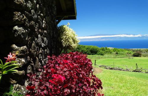 Kohala Lodge- Vacation Rental House - Foto 17