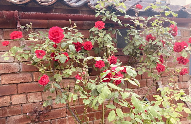 Capella Cottage, 2 Bedroom, Sleeps 4 - Photo 19