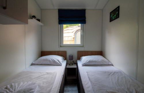 Iguana - Das Tiny Haus am Reptilienzoo Reptilium - Foto 30