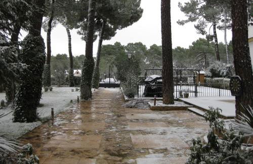 El Chalet del Pinar - Foto 46