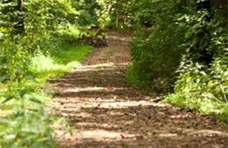 Historic Countryside Estate with Brenda Lee Heritage Near Nashville, Goodlettsville TN - Photo 66