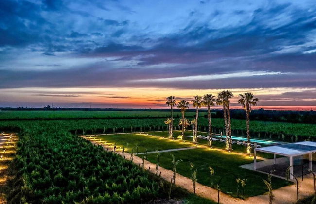 Masseria Torleanzi - Wine Relais - Foto 52