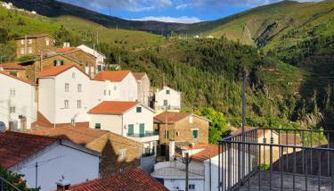 Free Spirit - Photo 1