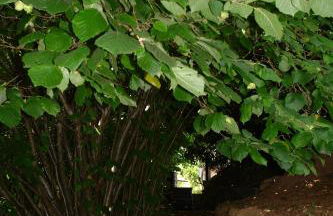 Haus Marta - Photo 41