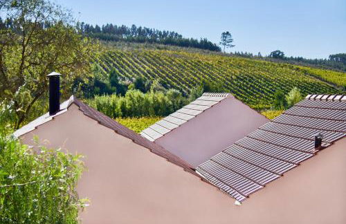 Quinta do Porto Nogueira - Foto 42