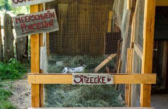 Haidgerberhof - apartments & homemade food - Foto 67