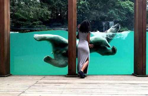 Chalet authentique à Clermont-Créans avec piscine partagée - Photo 36