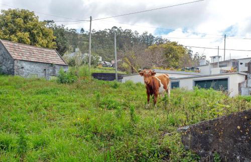 Apartamento Maria - Foto 32