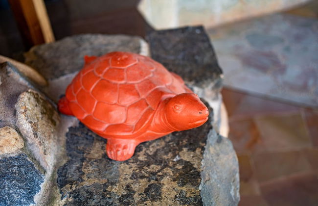 Amã Stays & Trails Eden Farms Antonio Manuel, Goa - Photo 16