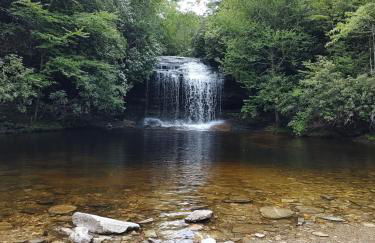 Healing Acres - Foto 53