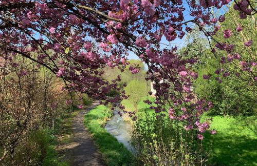 Ferienwohnung in historischer Mühle - Foto 24