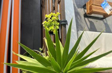 Studio apartment Dalmatia - Foto 20