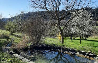 Studio Bas Verdon - Foto 16