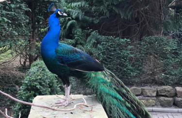 Ferienwohnung Ausguck - Foto 36