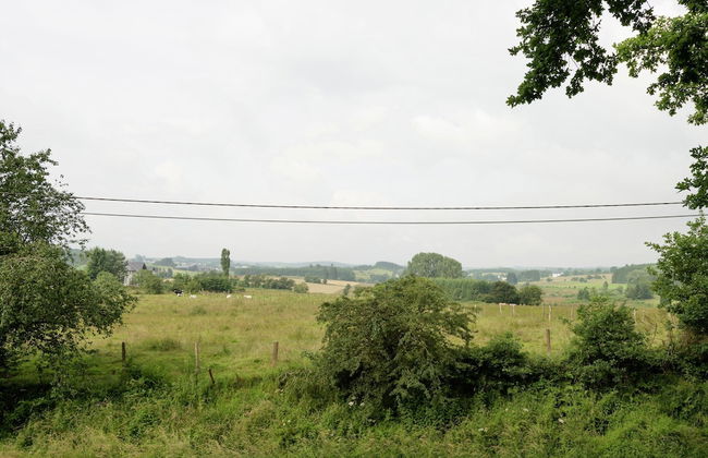 Holiday Home in Deiffelt Near Forest - Photo 39