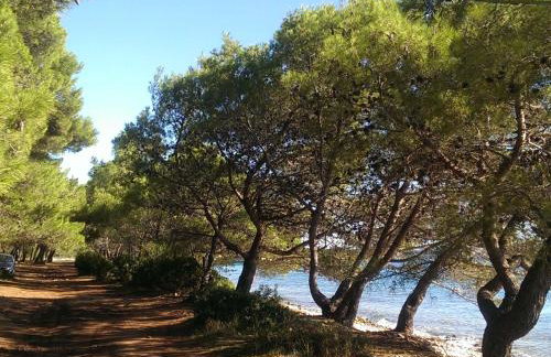 Apartments with garden - Foto 41