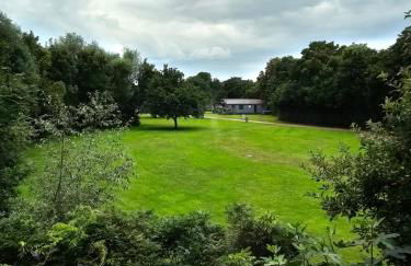 Strandhaus am See - Foto 5