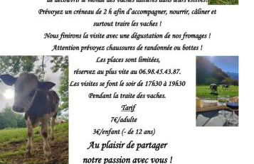 Ustou Guzet neige, appartement de 32 M2 avec balcon dans les Pyrénées aux pieds des pistes - Foto 33