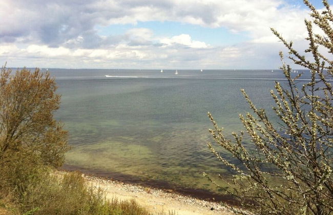 2 Rena Modern Retreat - Foto 13