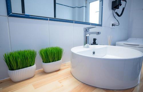 Coconut Blue - Photo 39