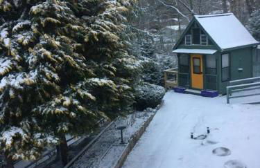 The Nuthatch Cabin - Asheville Tiny Home near the Smokie Mountains! - Foto 18