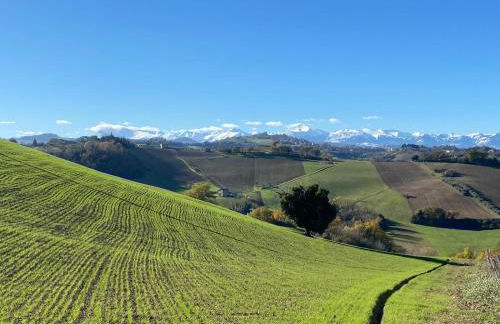 Agriturismo Casafaro Petritoli - Foto 5