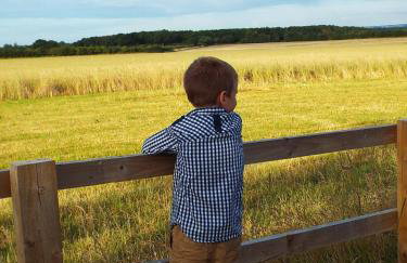 The Stableyard - Foto 11