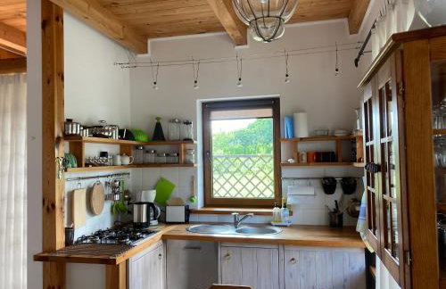 Biały Zdrój - Foto 8