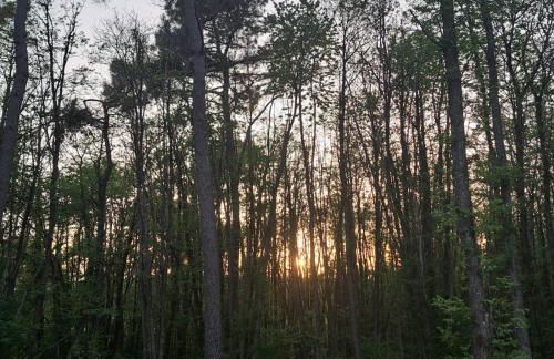 Cabin indebos - Foto 26