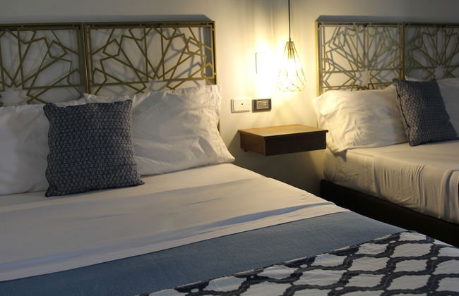 Soy Local Centro Historico - Photo 7