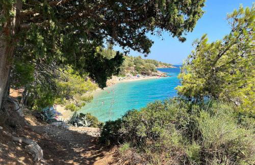 Kameni cvijet - Foto 12