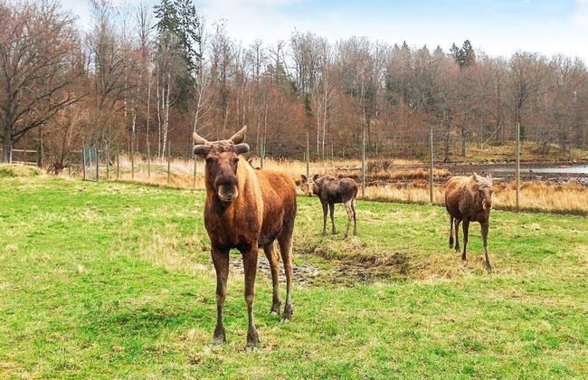 6 Person Holiday Home in Stjarnhov-by Traum - Foto 9