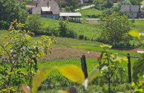 Srce Petrove gore - Foto 1