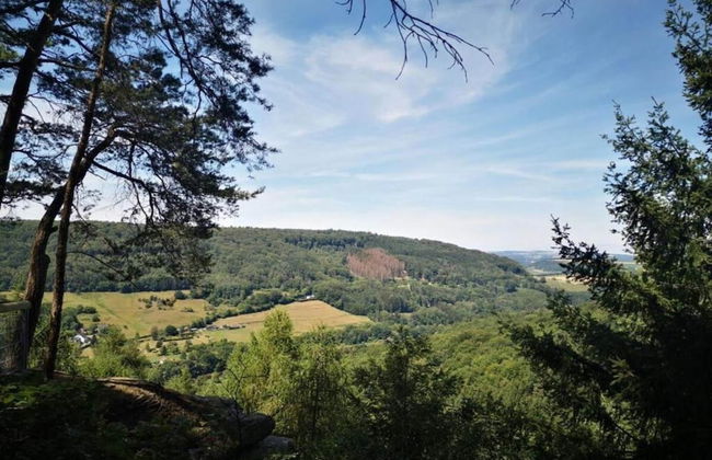 Lovely Apartment in Bollendorf near South Eifel Nature Park - Photo 35