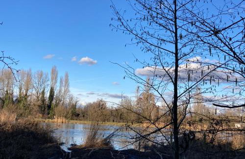 Gîte urbain au calme en rez de jardin proche Groupama stadium salle Arena EUREXPO Lyon - Foto 36