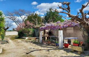 Mas de Plisset - Foto 42