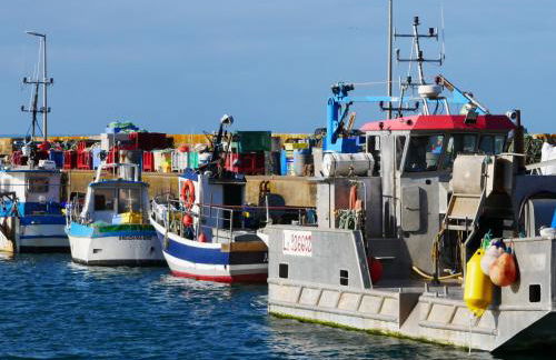 Loc' Maria - Tahiti Beach - Photo 47