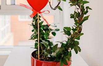 Cabanal Beach House - 10 min to ocean , FastWifi , SmartTV, AC - Foto 18