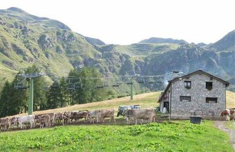 Vip Foppolo - Photo 10