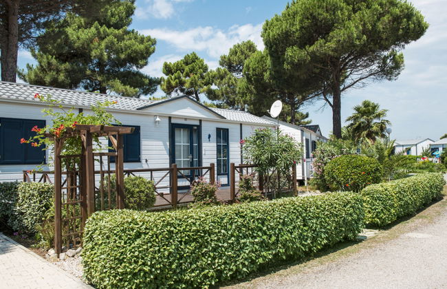 Domaine Les Mûriers - Foto 1