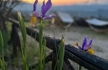 Casa Vacanze Il Puggio - Foto 46