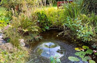 Madeira Haus - Foto 24