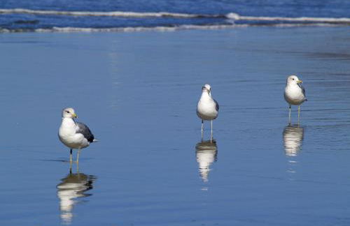Monte Gordo Beach Flat with Balcony - Foto 19