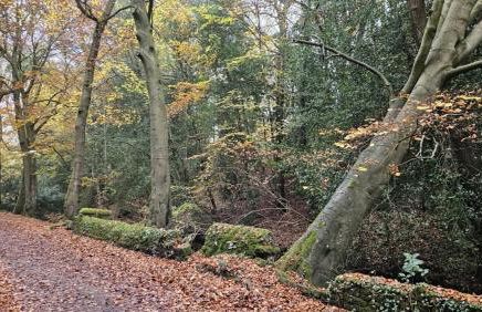 Folly View - Private, peaceful apartment with stunning views. - Foto 78