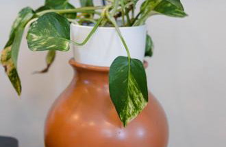 Rainforest Retreat 20m to NYC Parking Sleeps 25 - Foto 43