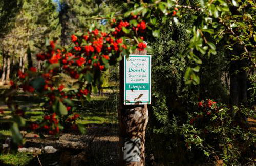 Cortijo De Ramón - Foto 40