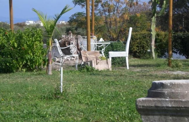 Eftihia Studios - Photo 27