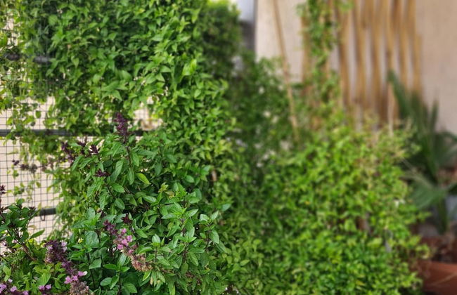 76 EGM - Stay Serenity Apartment - Foto 34