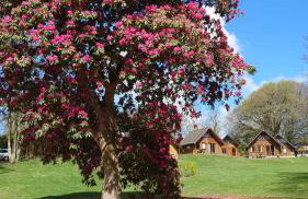 128 Hengar Manor - Foto 18