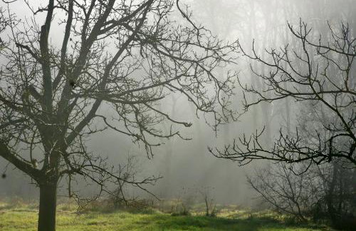 Chalet Coquelicot (Co-cli-co) relax in nature - Photo 33